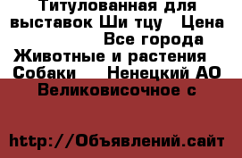 Титулованная для выставок Ши-тцу › Цена ­ 100 000 - Все города Животные и растения » Собаки   . Ненецкий АО,Великовисочное с.